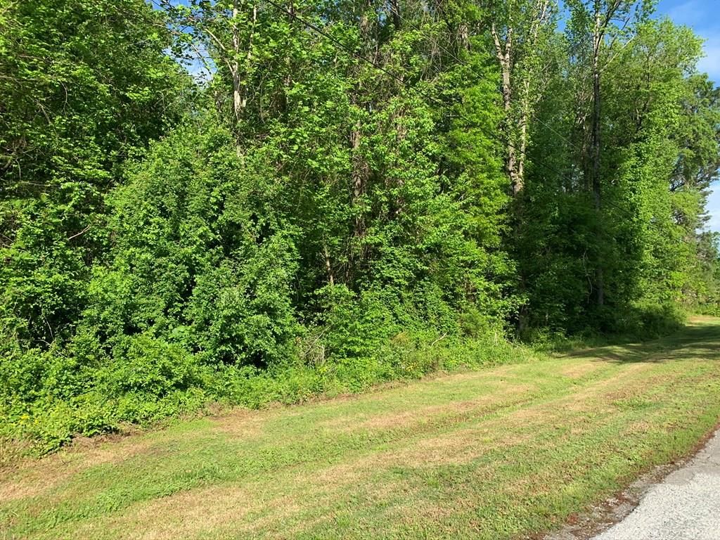 Clarksville, Mecklenburg County, VA Undeveloped Land, Homesites for