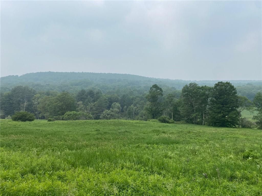 Otego, Otsego County, NY Undeveloped Land, Lakefront Property