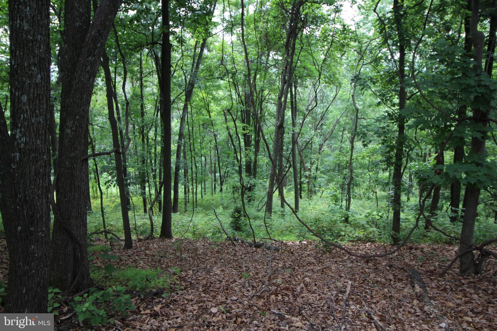 Mount Jackson, Shenandoah County, VA Farms and Ranches, Homesites for