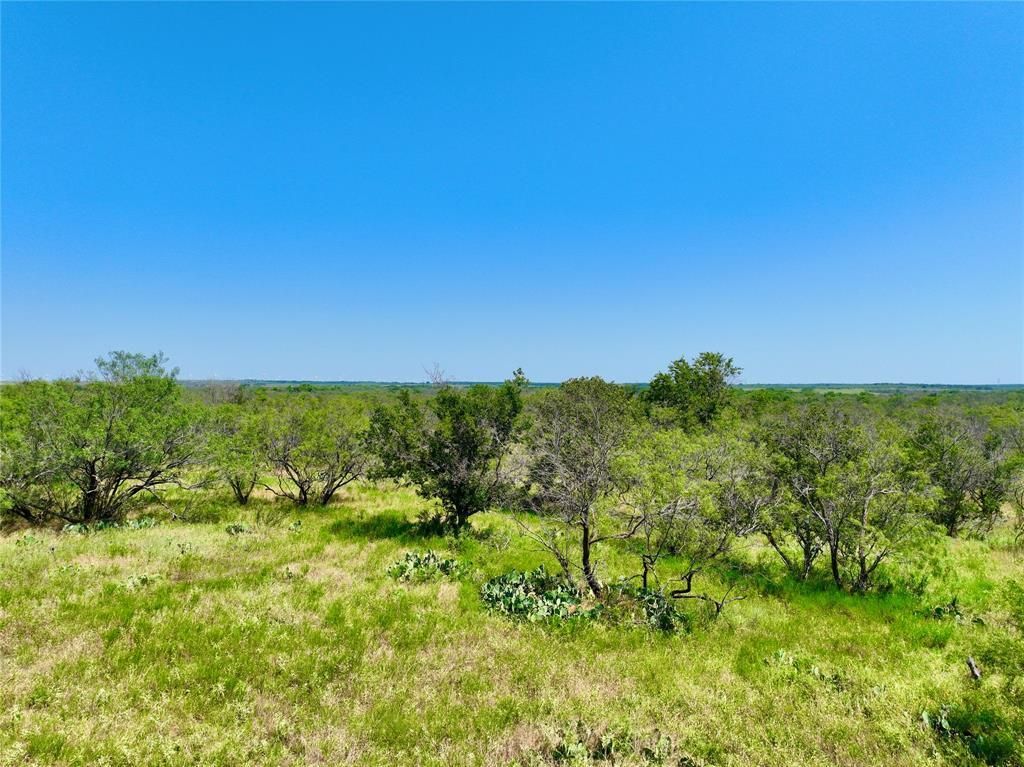 Jacksboro, Jack County, TX Farms and Ranches, Hunting Property, Horse