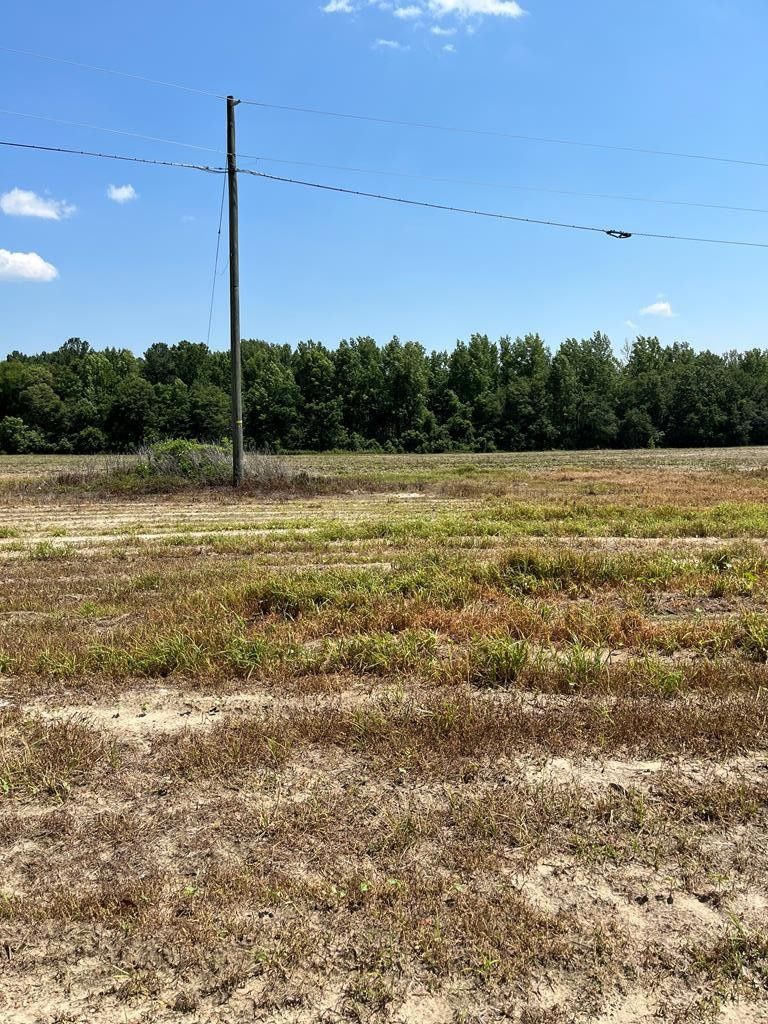 Springfield, Orangeburg County, SC Undeveloped Land for sale Property ID 416793248 LandWatch