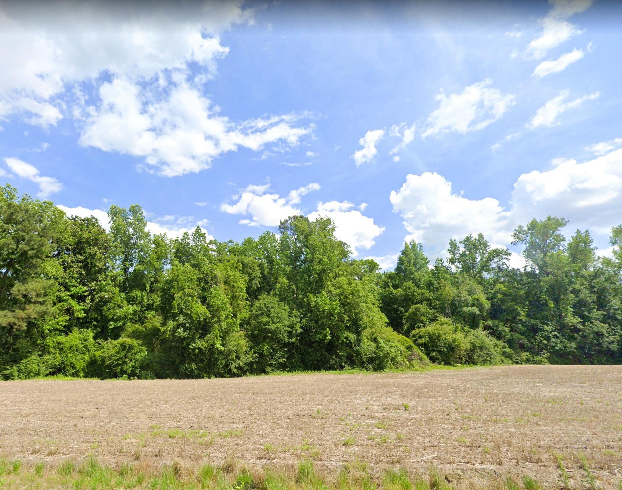 Whiteville, Columbus County, NC Undeveloped Land, Horse Property for