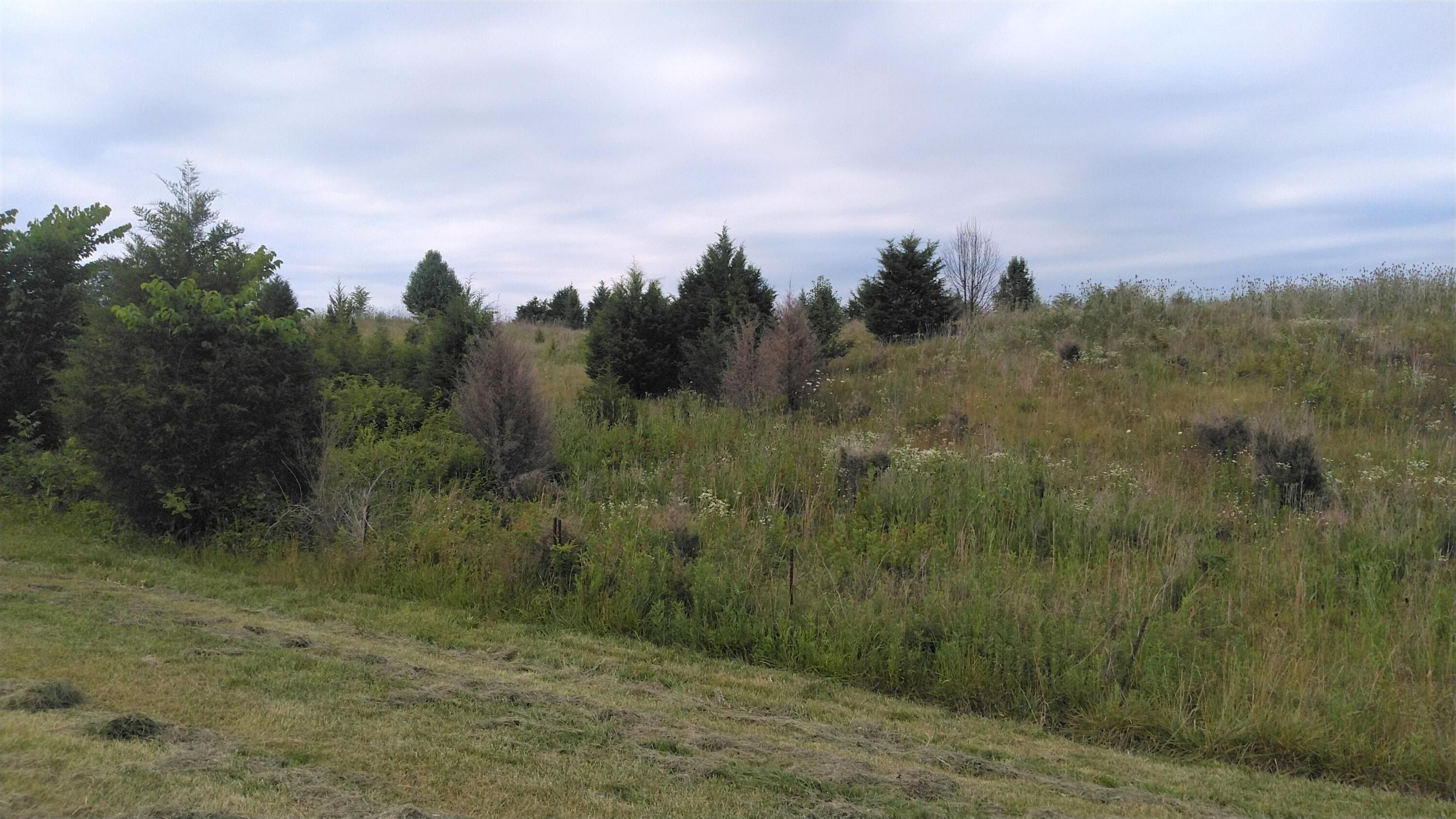 Rogersville, Hawkins County, TN Undeveloped Land for sale Property ID