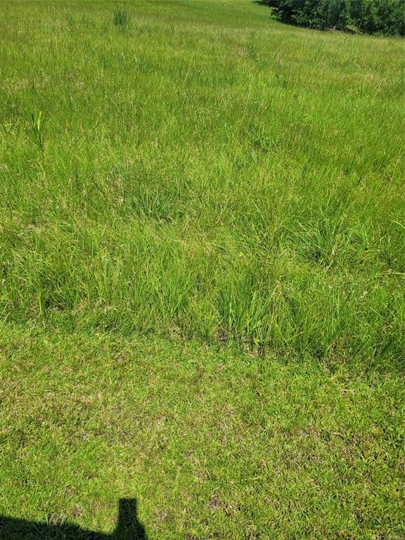 Hayneville, Lowndes County, AL Undeveloped Land, Lakefront Property