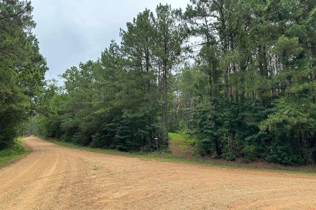 Meadville, Amite County, MS Undeveloped Land for sale Property ID 416833368 LandWatch