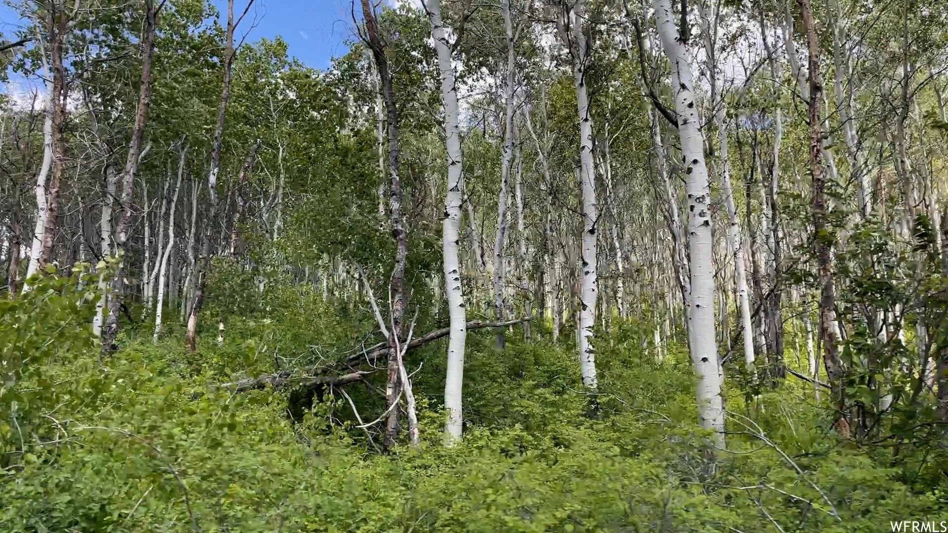 Paradise, Cache County, UT Farms and Ranches for sale Property ID