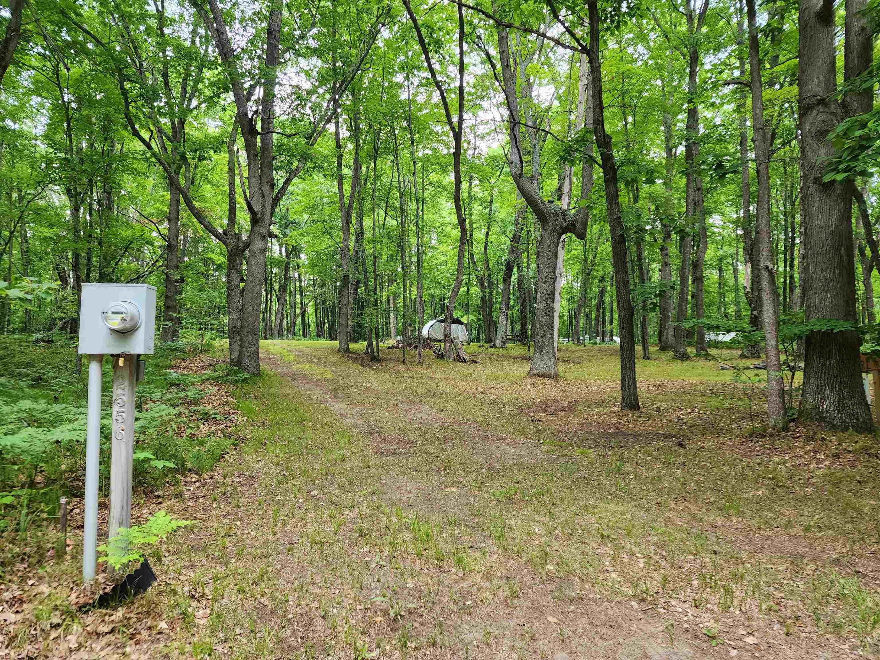 Farwell, Clare County, MI Undeveloped Land, Homesites for sale Property