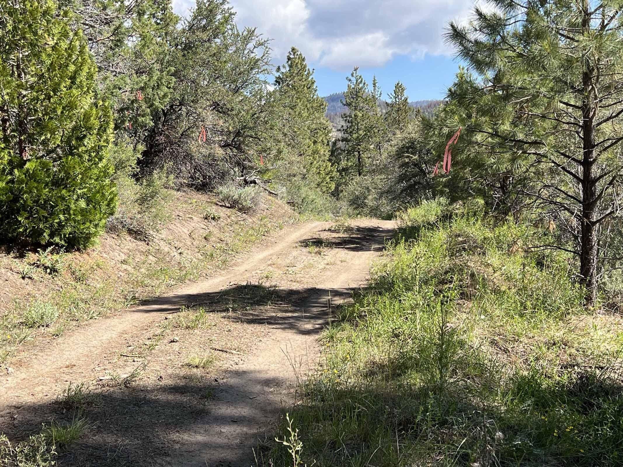 Lakeview, Lake County, OR Undeveloped Land for sale Property ID 416833967 LandWatch