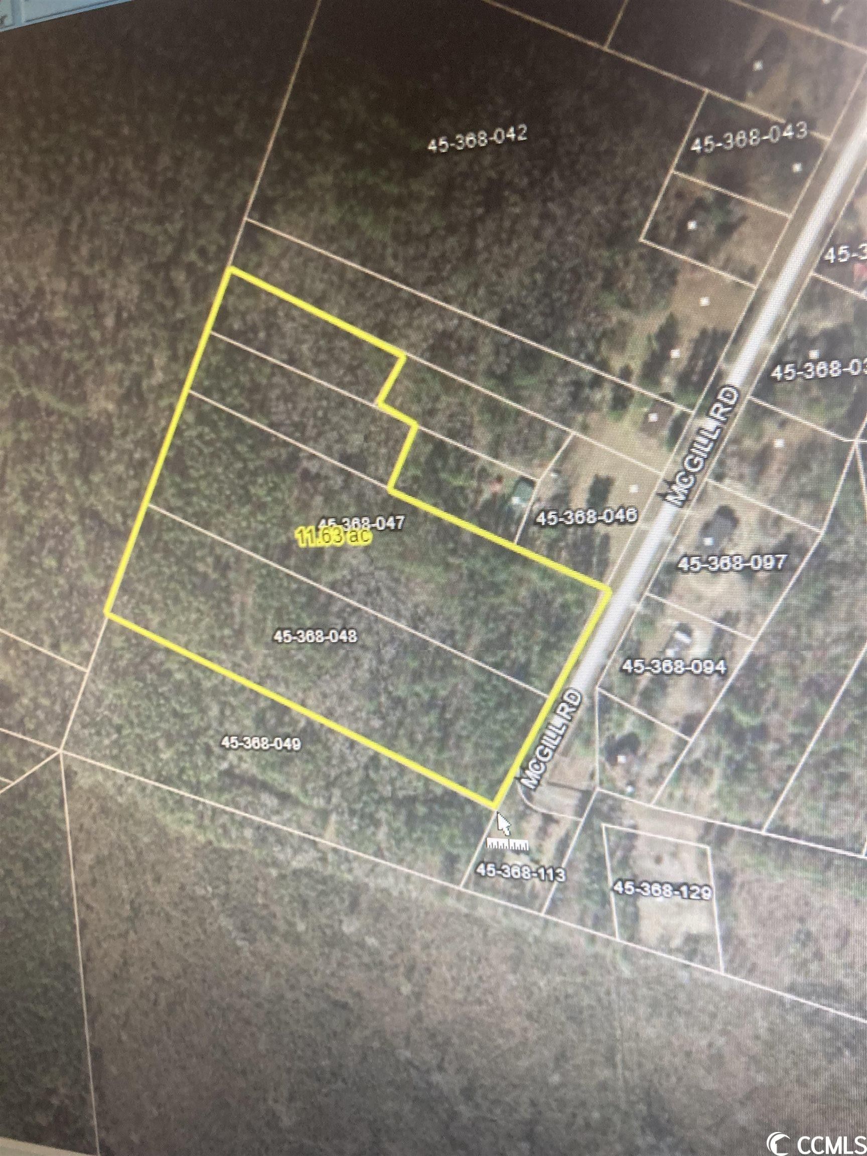 Hemingway, Williamsburg County, SC Undeveloped Land for sale Property