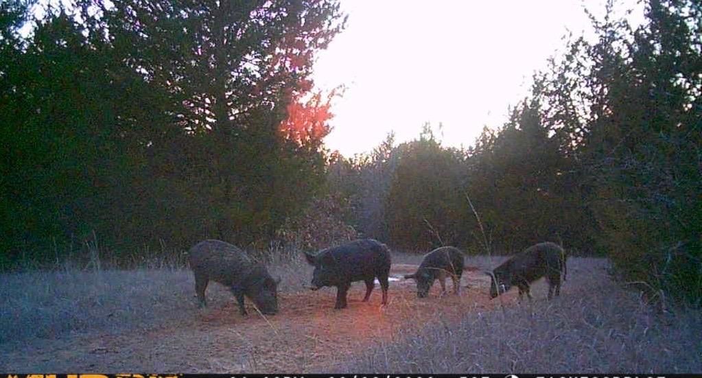 85 acres in Tishomingo, OK, 73460 LandWatch