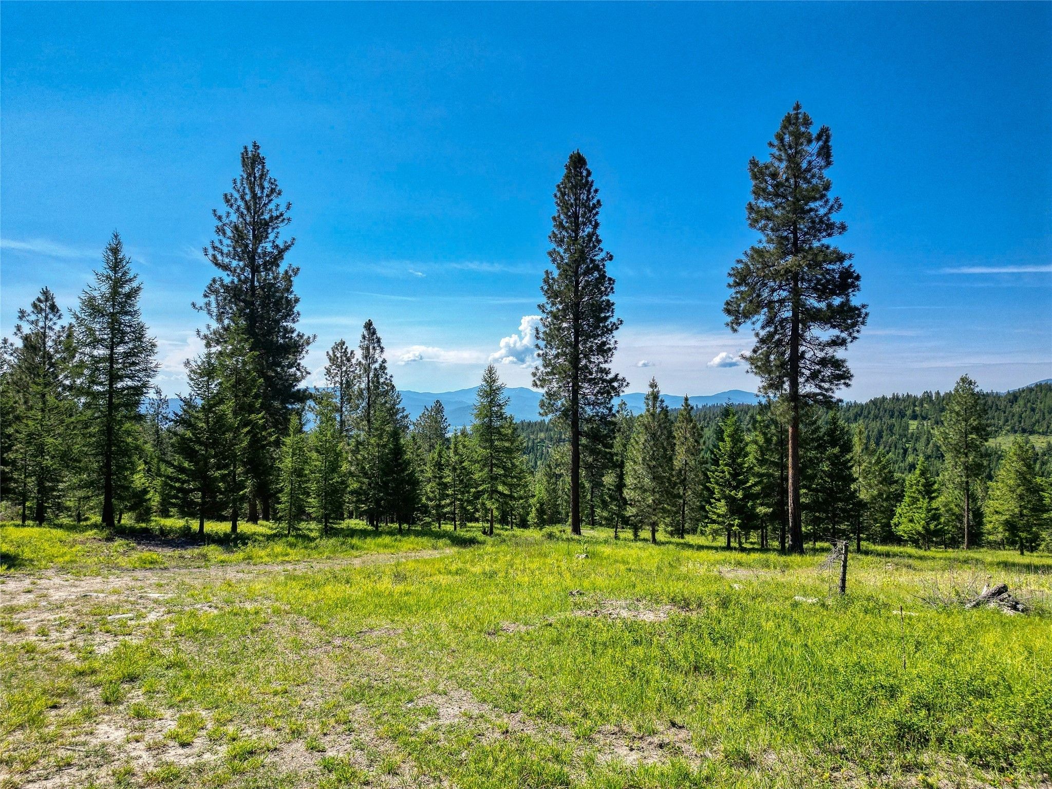 Kalispell, Flathead County, MT Farms and Ranches for sale Property ID
