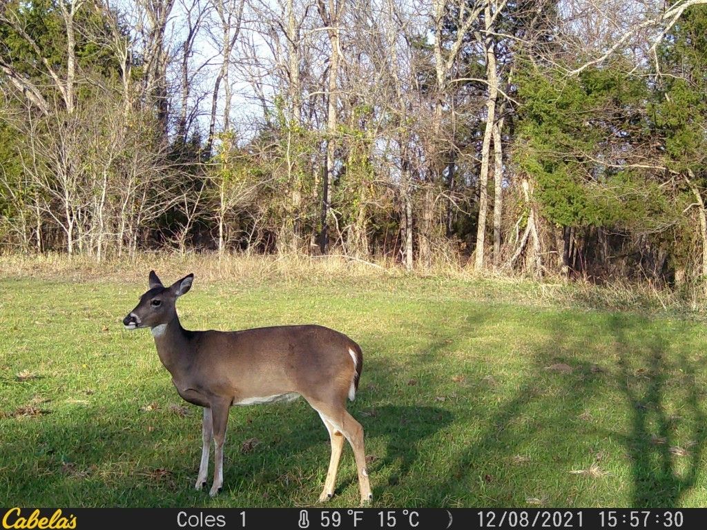 Wetumka, Hughes County, OK Undeveloped Land for sale Property ID
