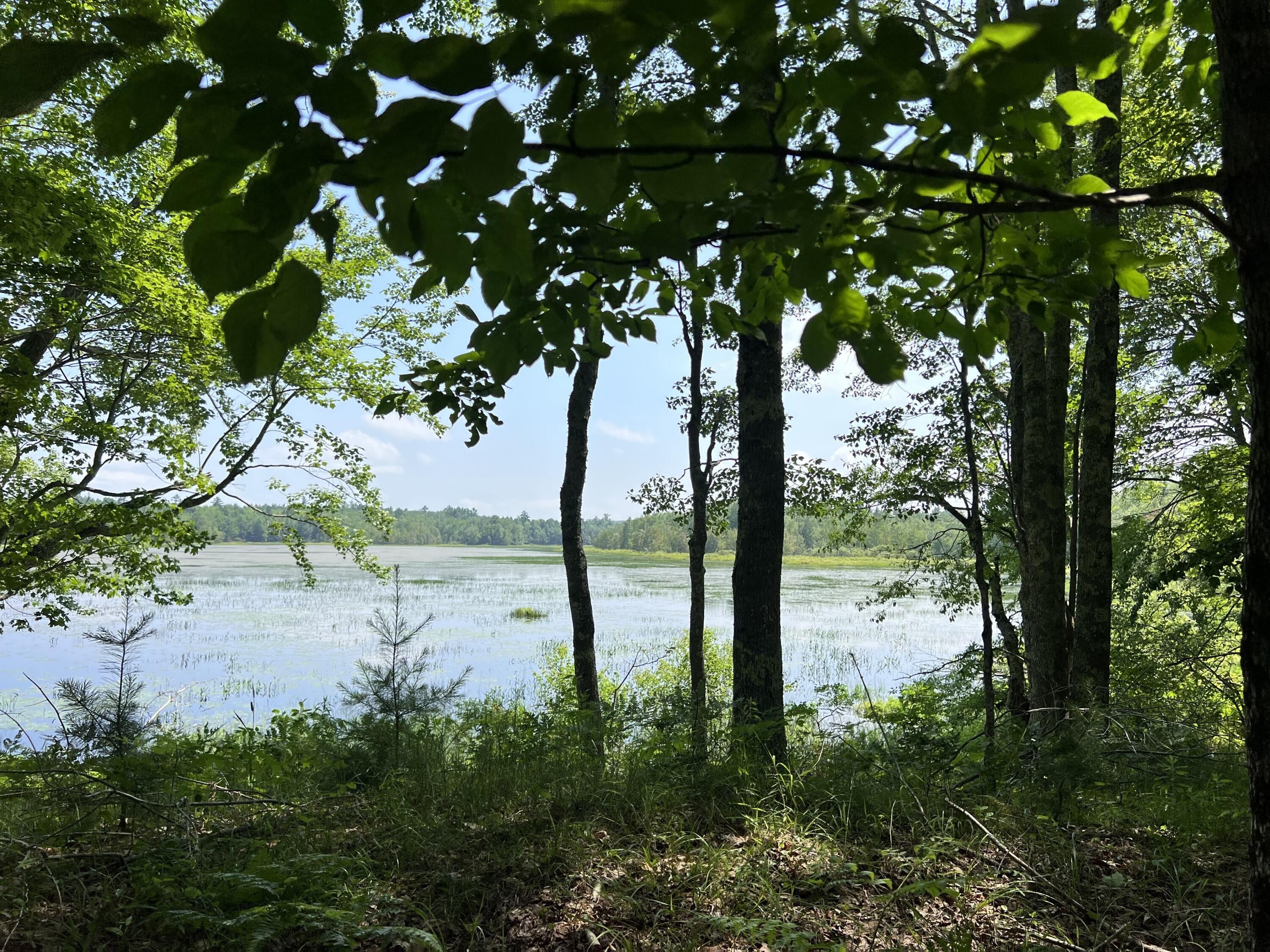 Morrill, Waldo County, ME Undeveloped Land, Lakefront Property