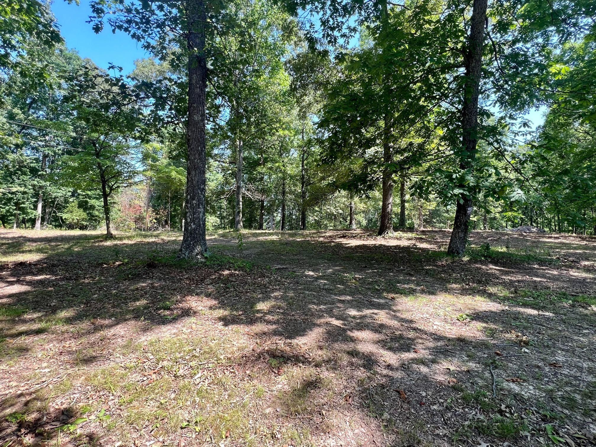 Indian Mound, Stewart County, TN Recreational Property, Timberland