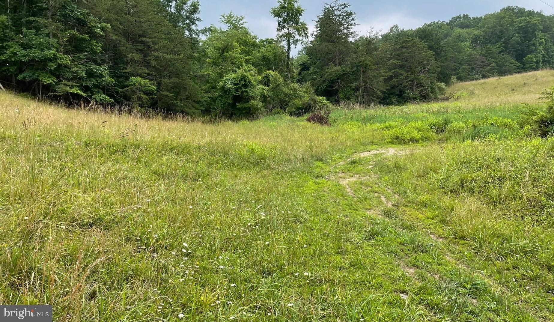 Berkeley Springs, County, WV Undeveloped Land for sale Property