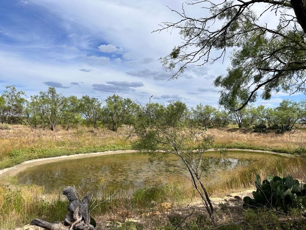 Ballinger, Runnels County, TX Recreational Property, Hunting Property