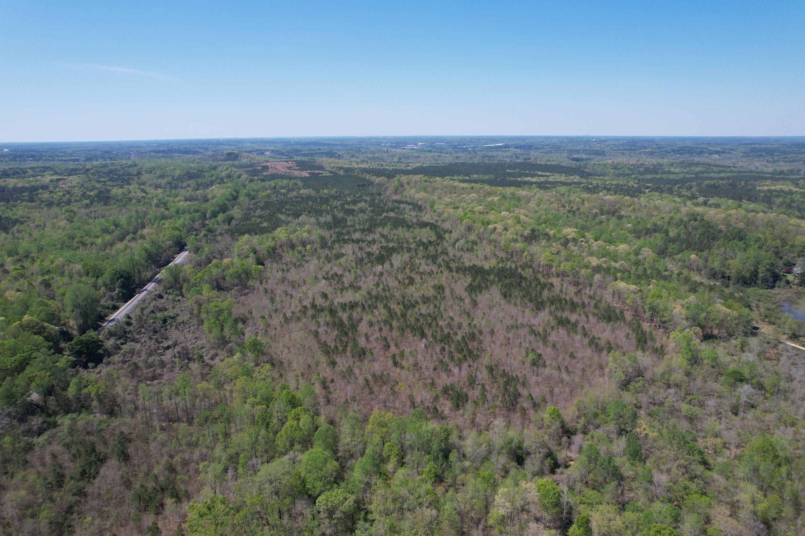 Opelika, Lee County, AL Timberland Property, Hunting Property for sale