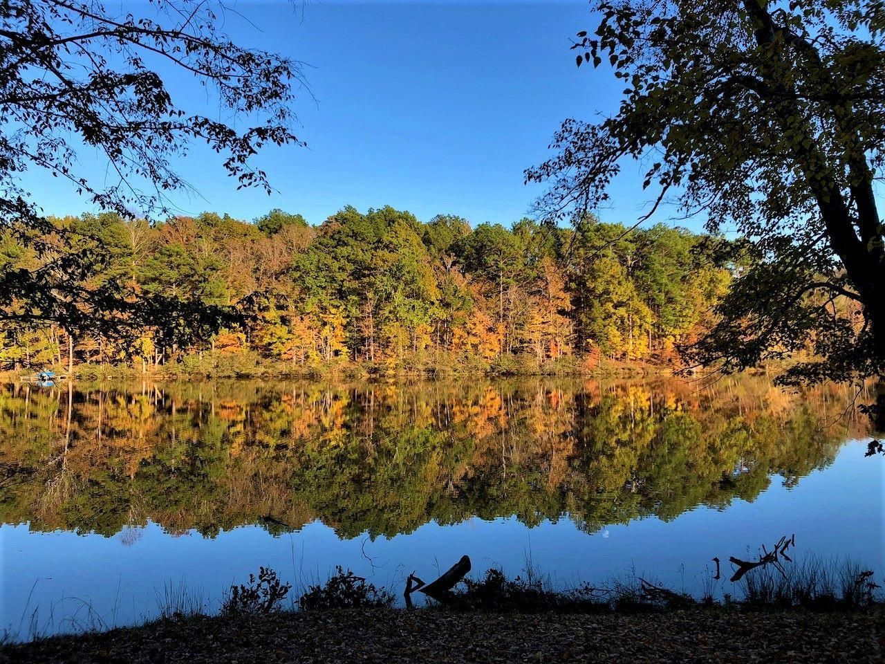 70 acres in Pelham, AL, 35007 LandWatch