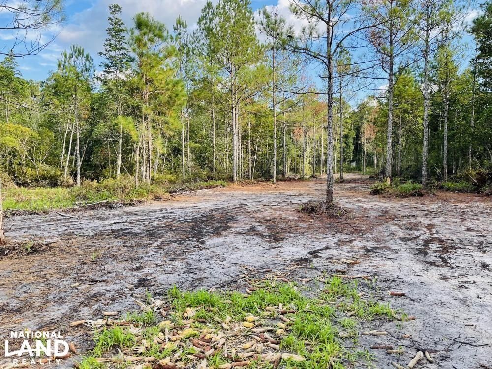 Elizabethtown, Bladen County, NC Recreational Property, Timberland