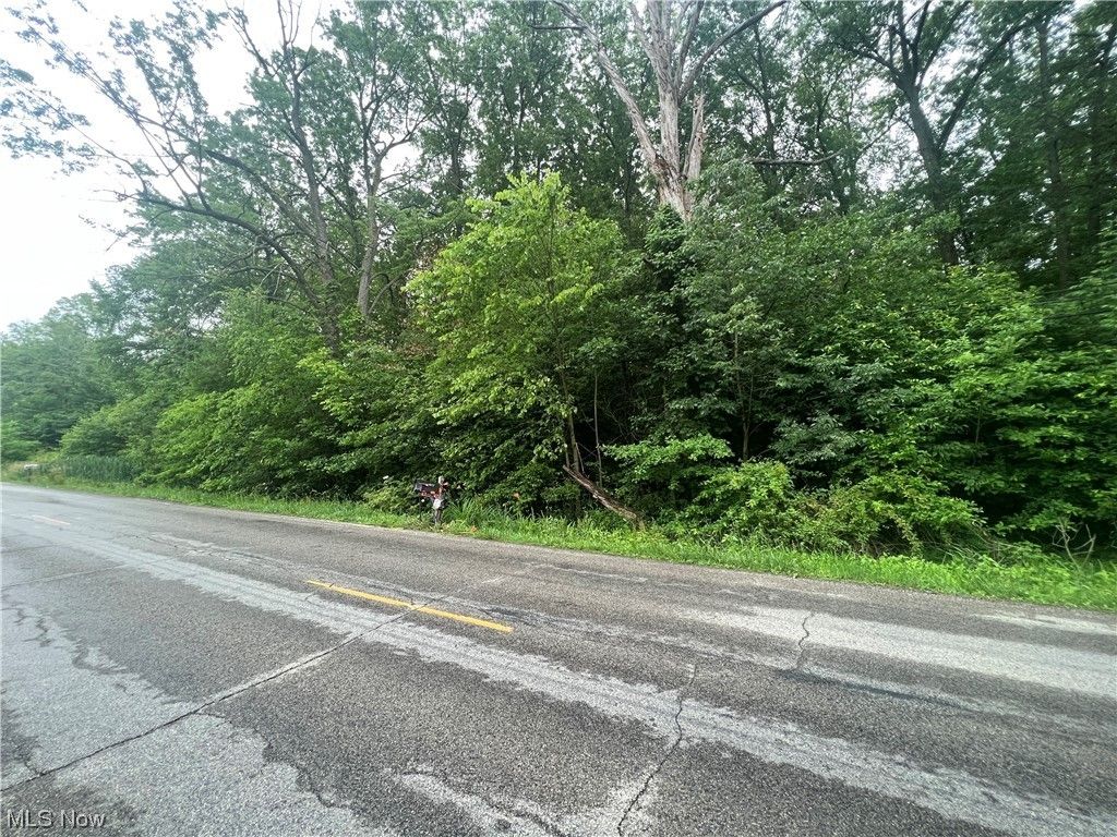 Rayen, Leavittsburg, OH 44430 MLS 4471399 LandWatch