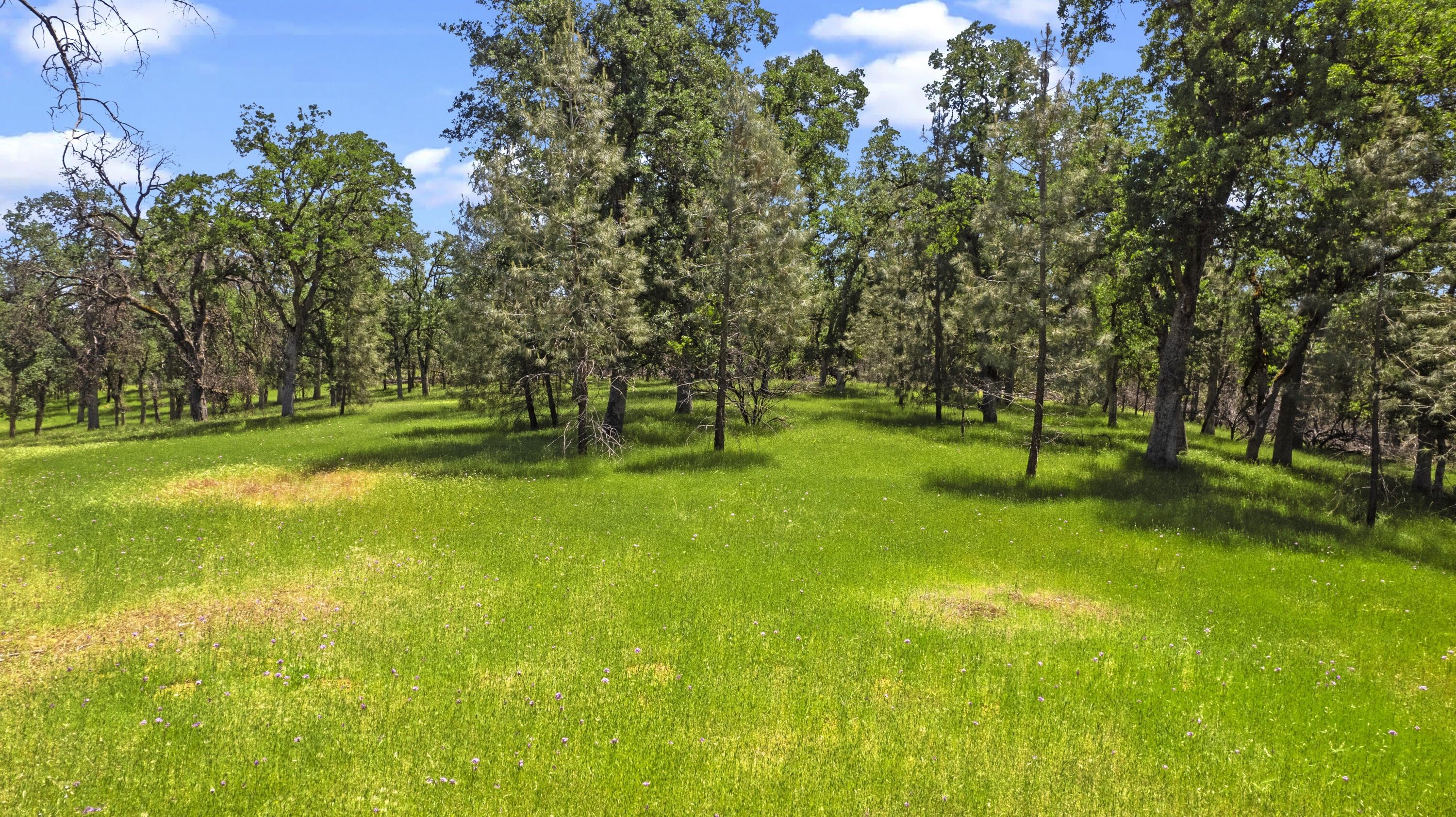 Redding, Shasta County, CA Farms and Ranches, Lakefront Property