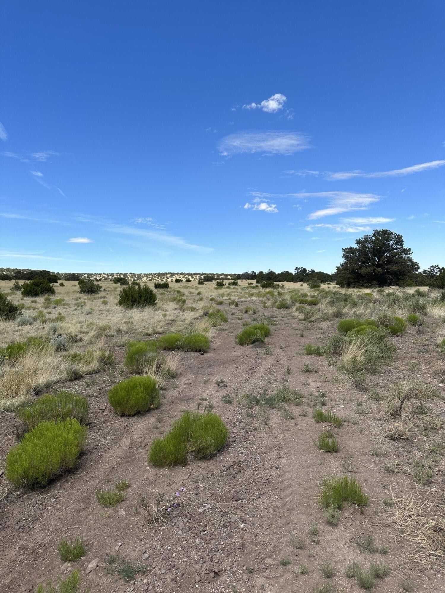 Quemado, Catron County, NM Undeveloped Land for sale Property ID 416840833 LandWatch