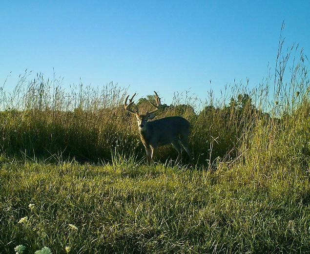 Lansing, Allamakee County, IA Recreational Property for sale Property