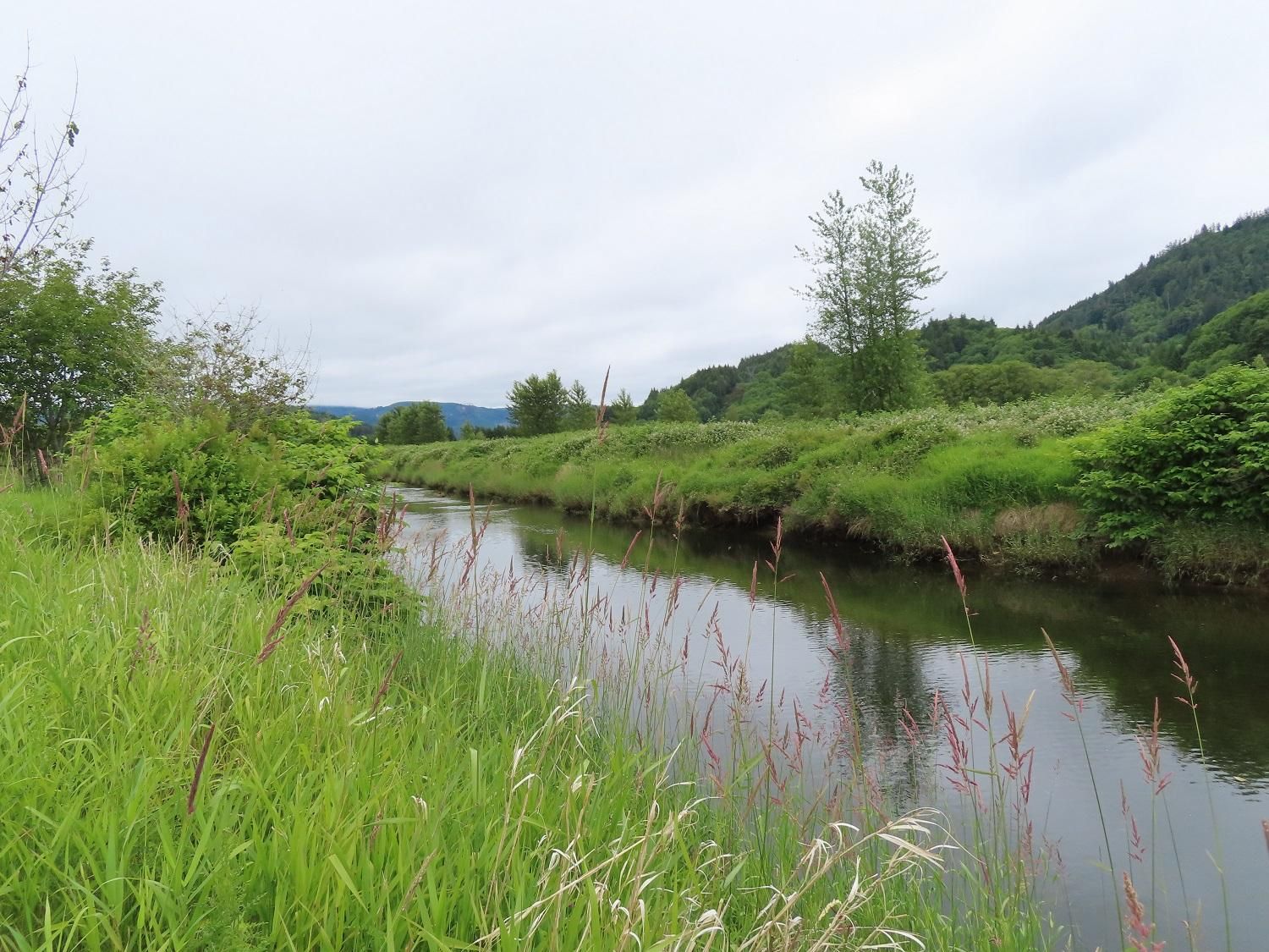 Skamokawa, Wahkiakum County, WA Farms and Ranches, Hunting Property