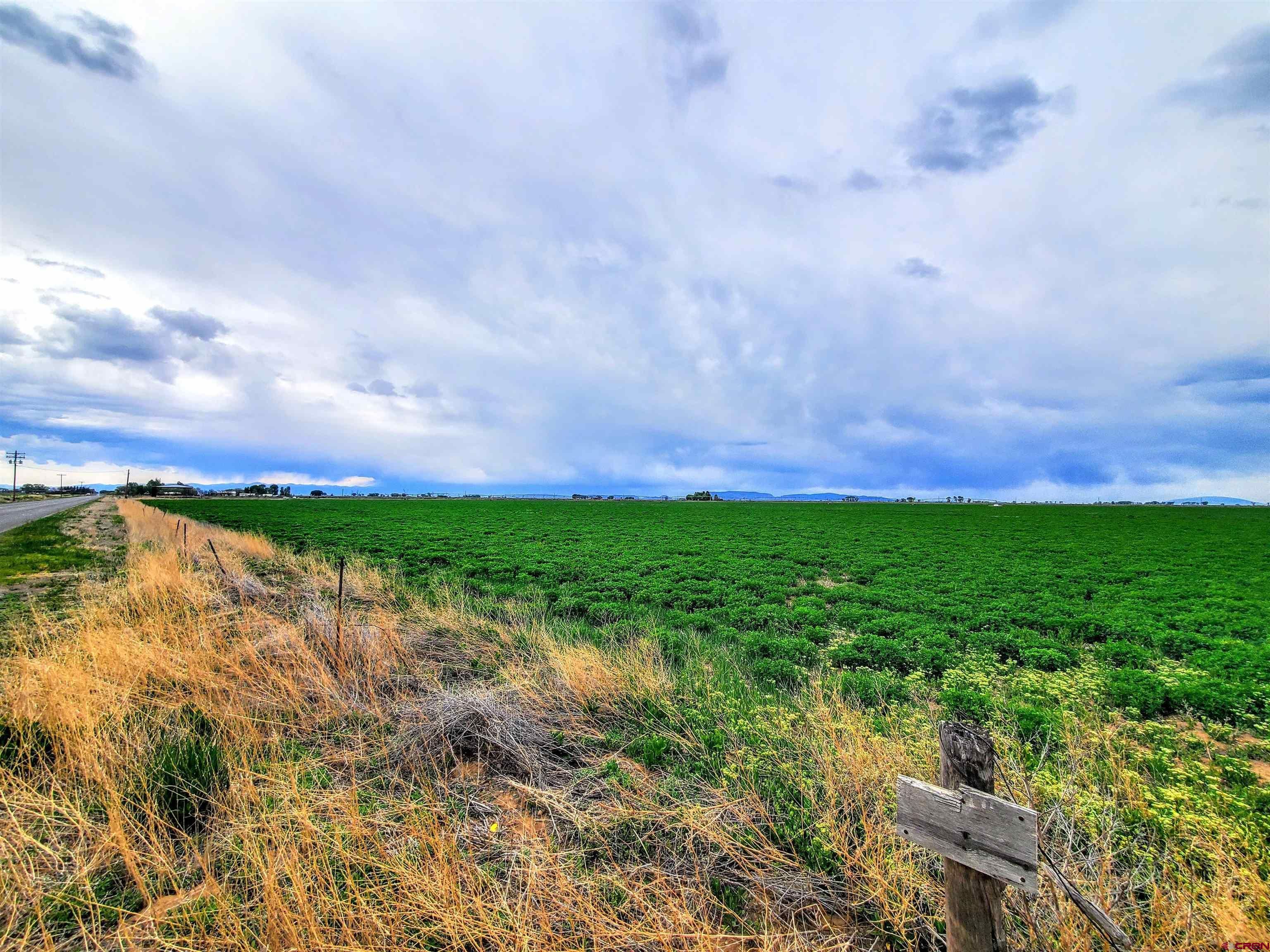 5299 County Road 12 South, Alamosa, CO 81101 MLS 804160 LandWatch