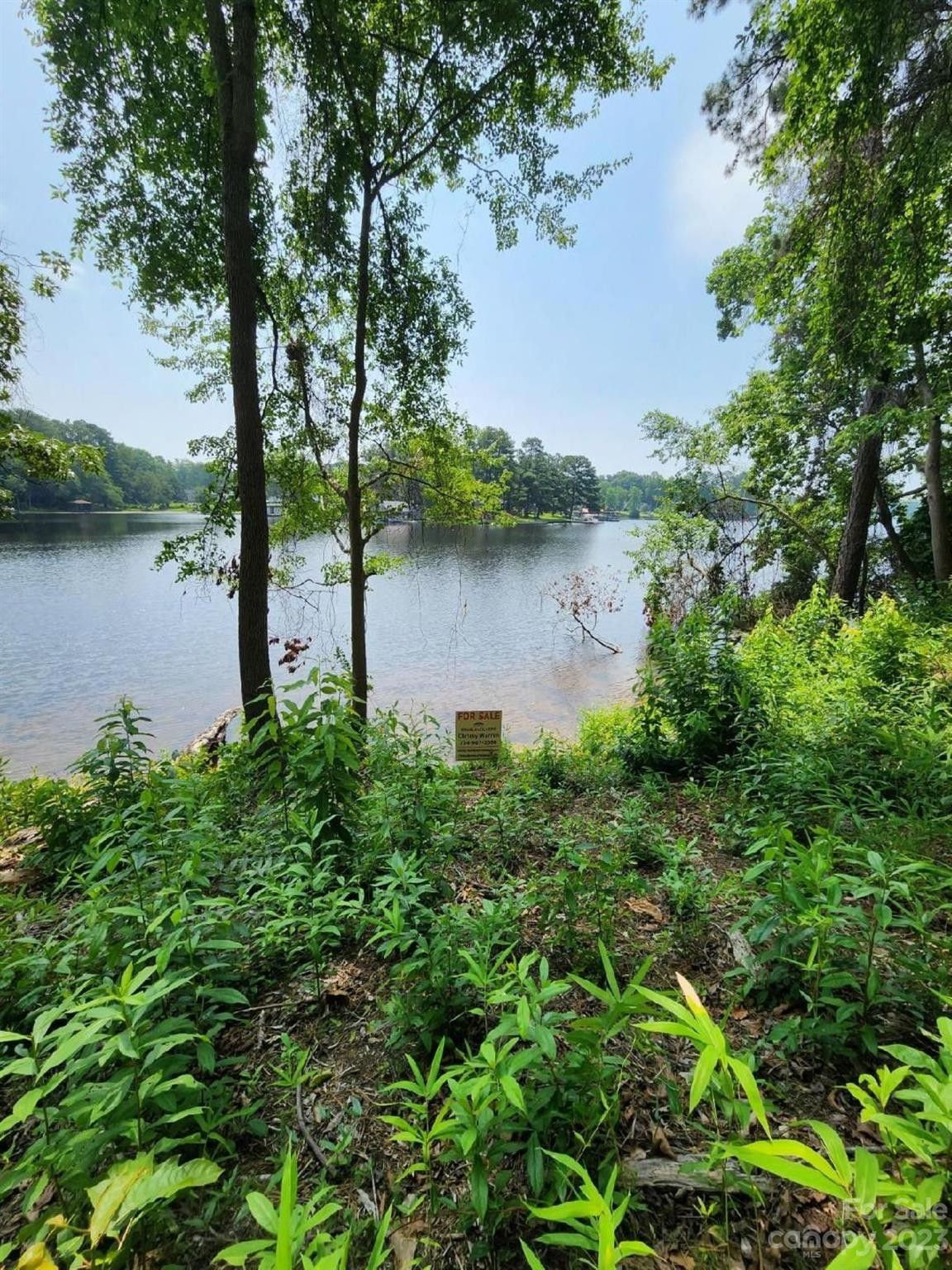 Hartsville, Chesterfield County, SC Farms and Ranches, Lakefront