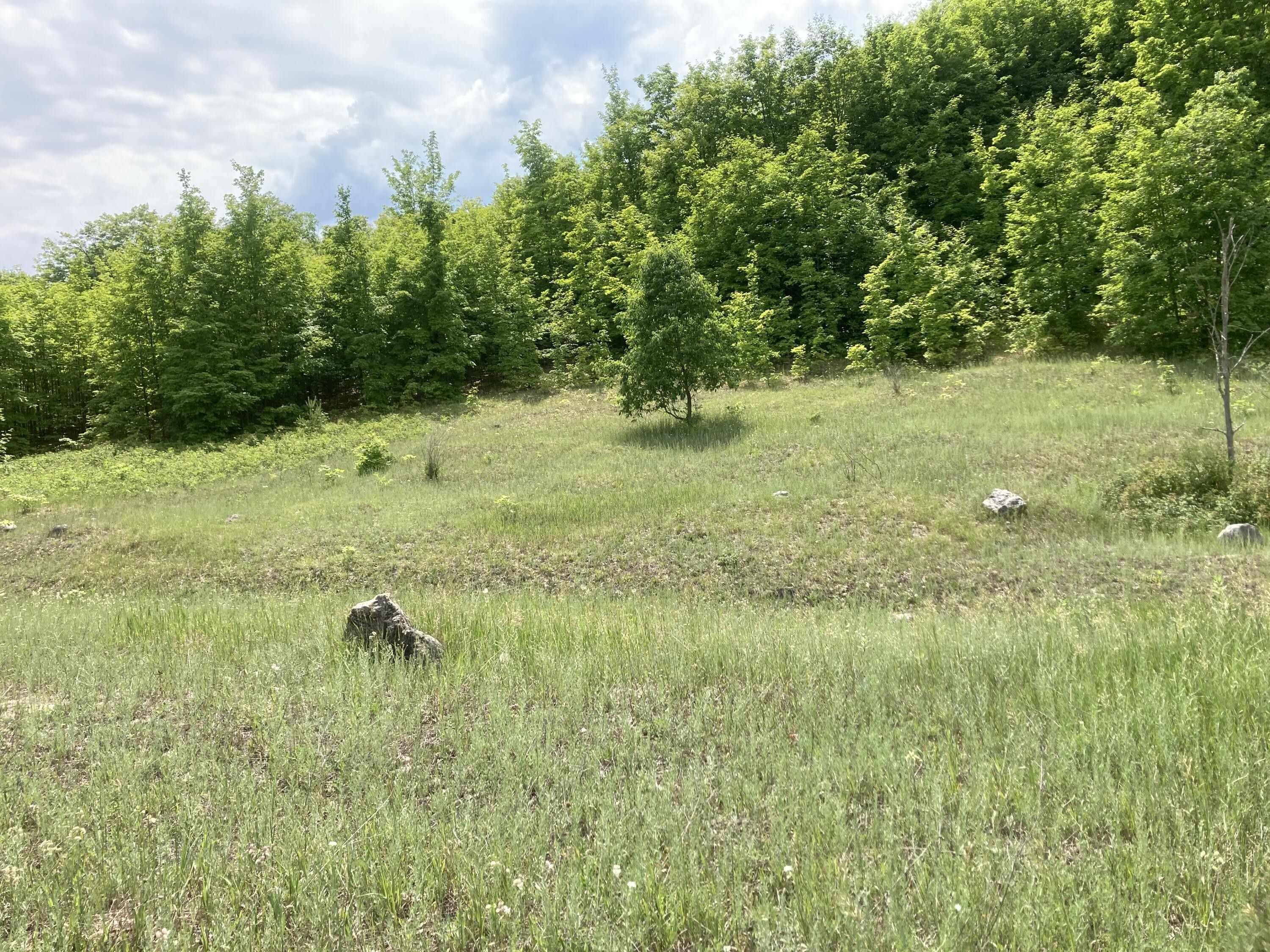 Elmira, Antrim County, MI Undeveloped Land for sale Property ID