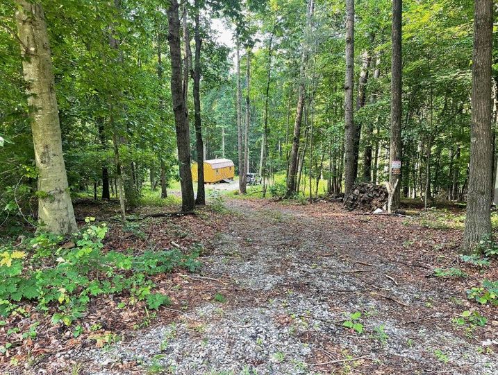 Roaring River, Wilkes County, NC Undeveloped Land, Homesites for sale