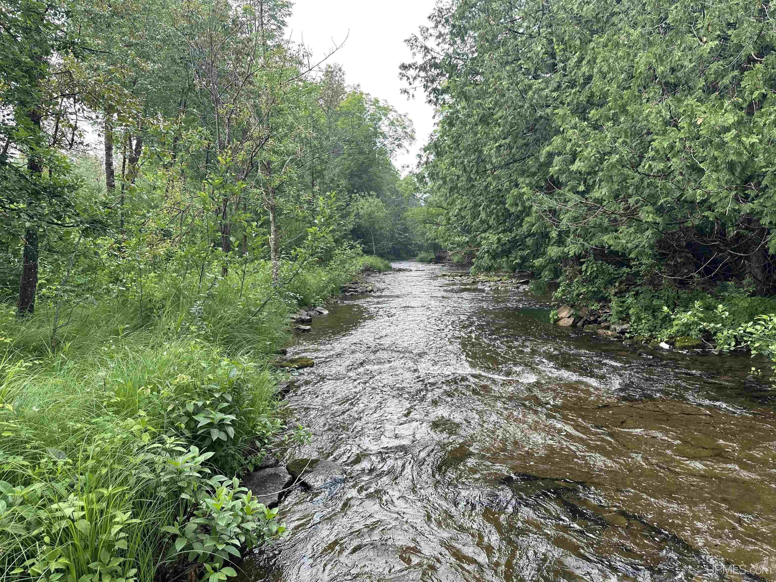 Trenary, Alger County, MI Undeveloped Land, Lakefront Property