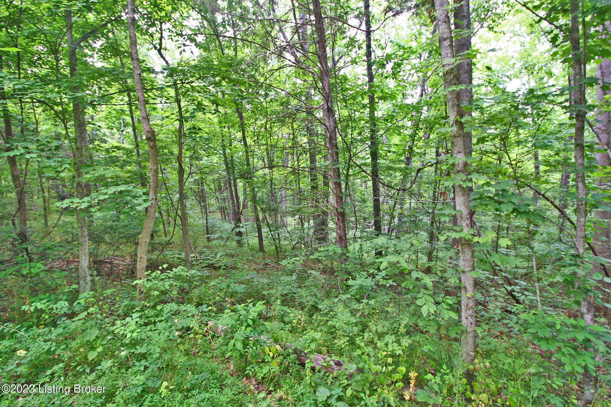 Frankfort, Shelby County, KY Undeveloped Land for sale Property ID