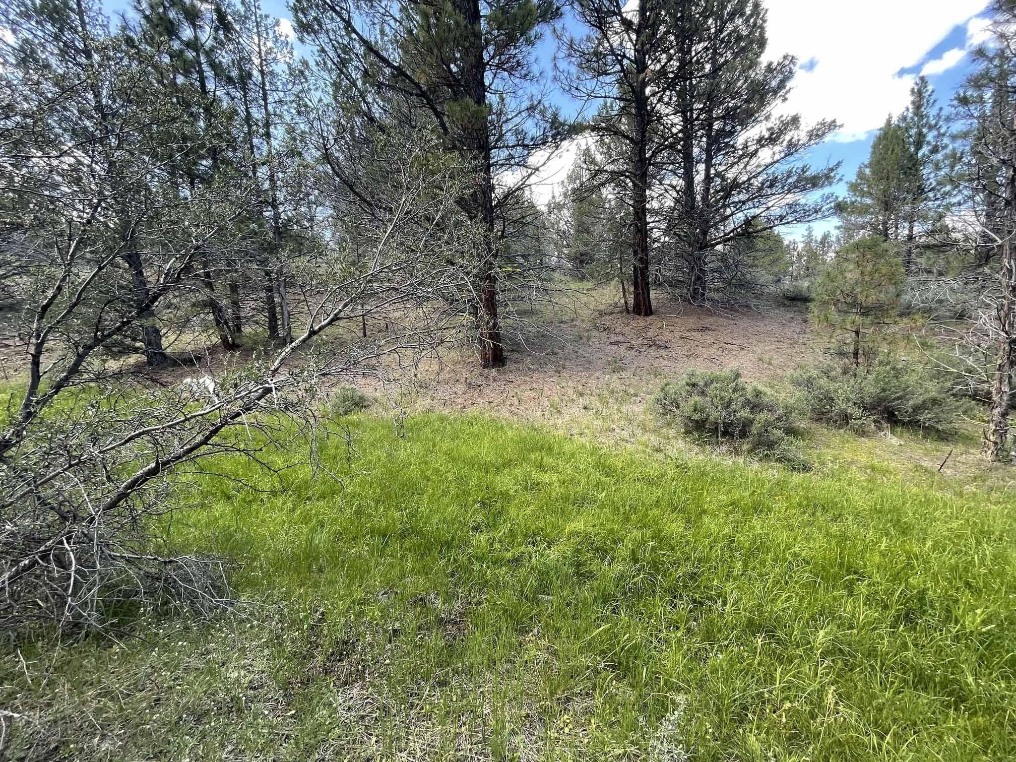 Lakeview, Lake County, OR Farms and Ranches for sale Property ID 416846260 LandWatch