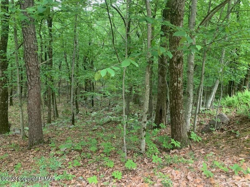 Jim Thorpe, Carbon County, PA Farms and Ranches, Homesites for sale