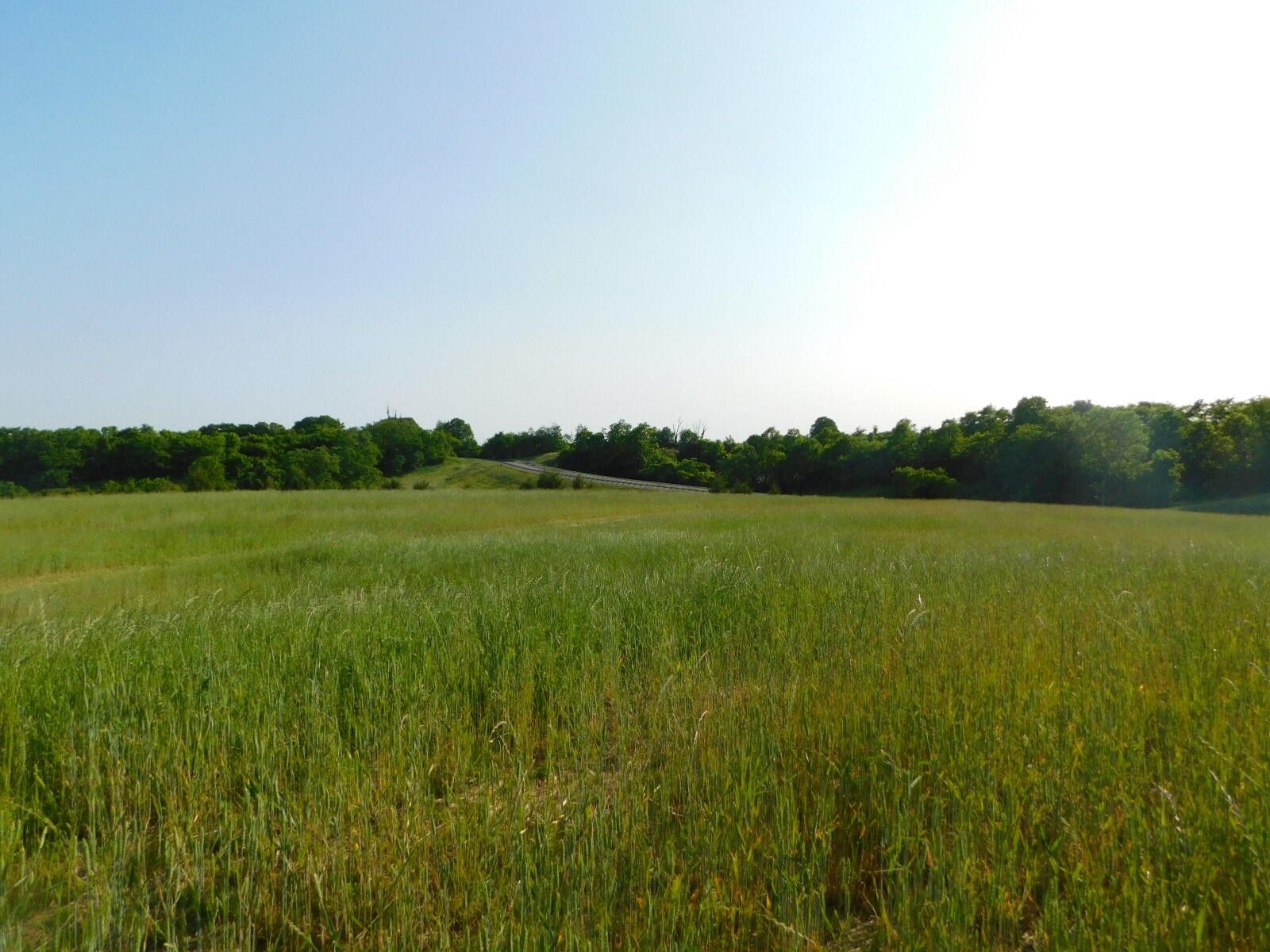 Corinth, Grant County, KY Farms and Ranches for sale Property ID