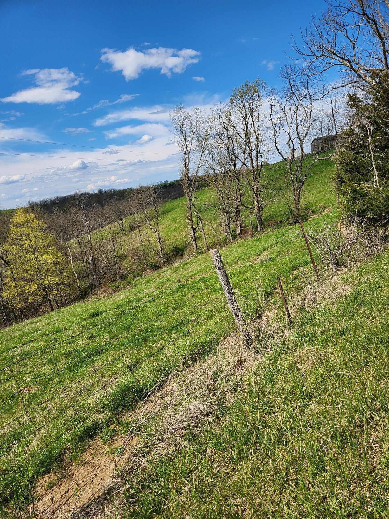 Brooksville, Bracken County, KY Farms and Ranches for sale Property ID