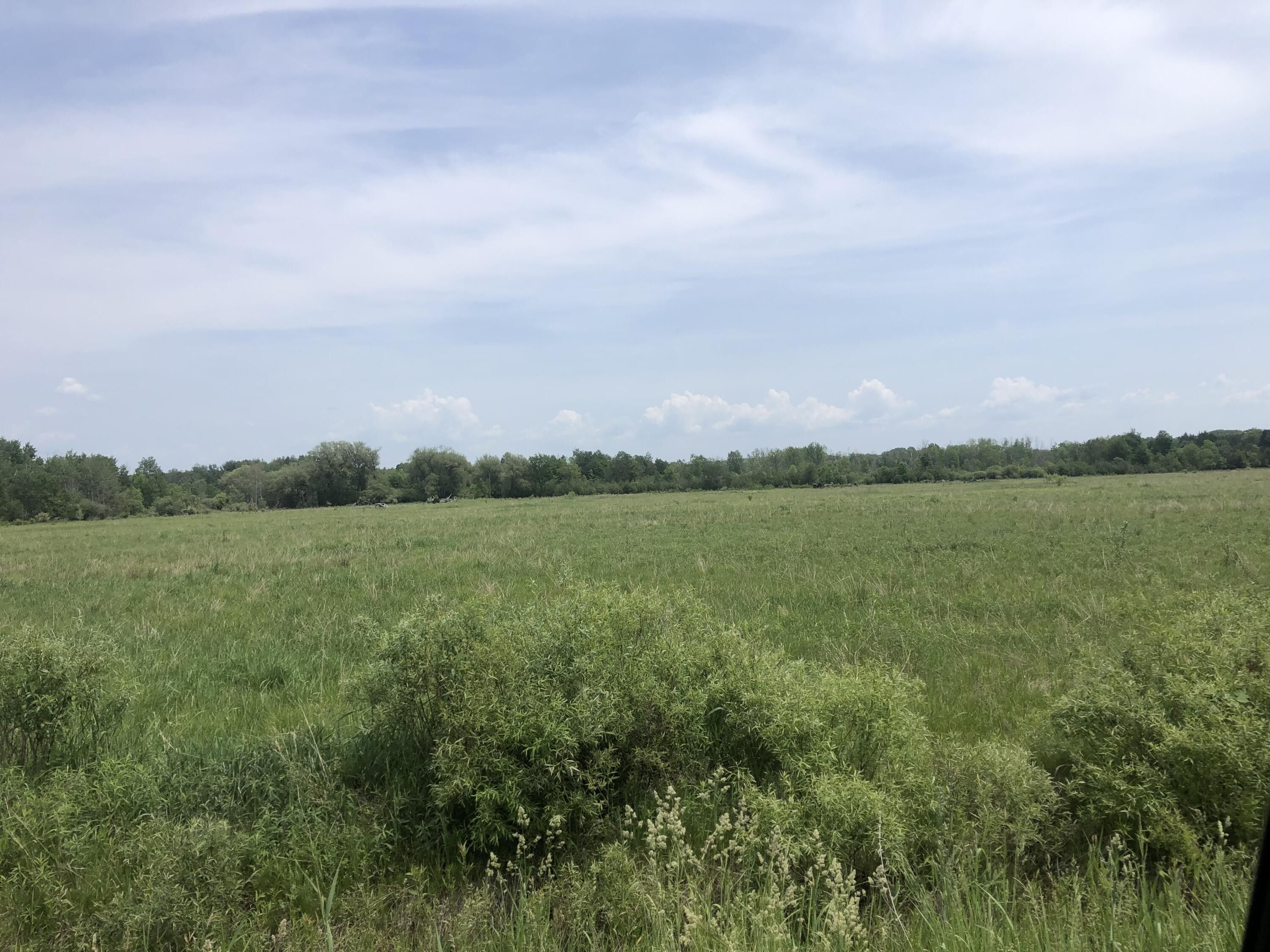 Free Soil, Mason County, MI Undeveloped Land for sale Property ID