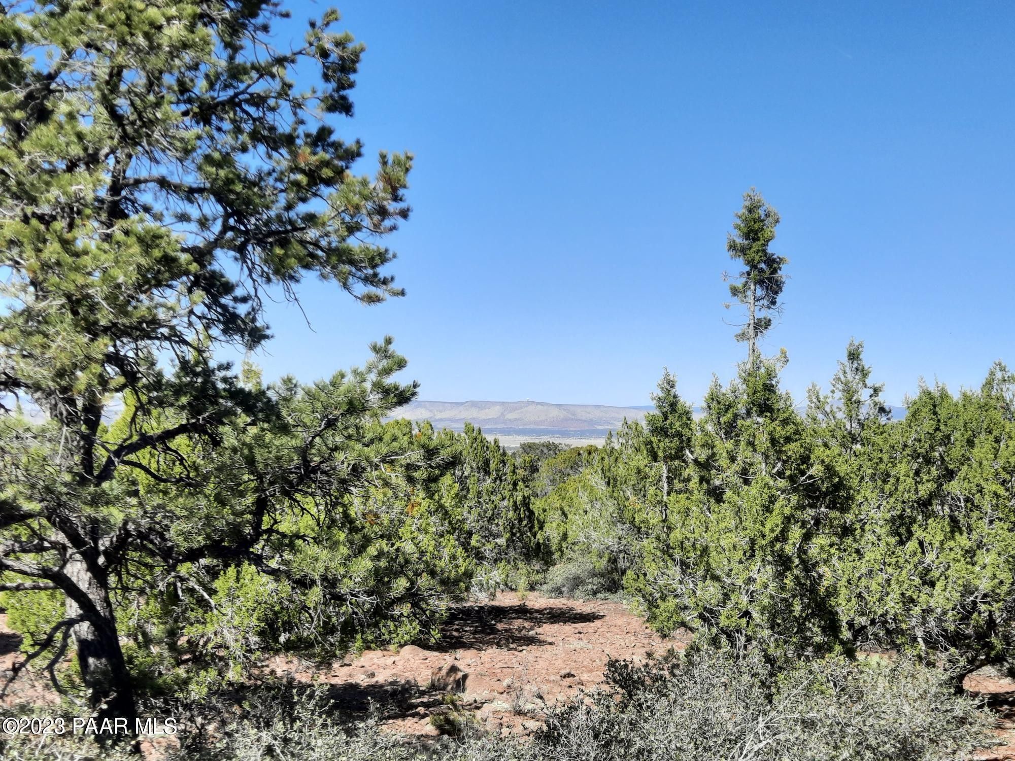 Seligman, Yavapai County, AZ Undeveloped Land for sale Property ID
