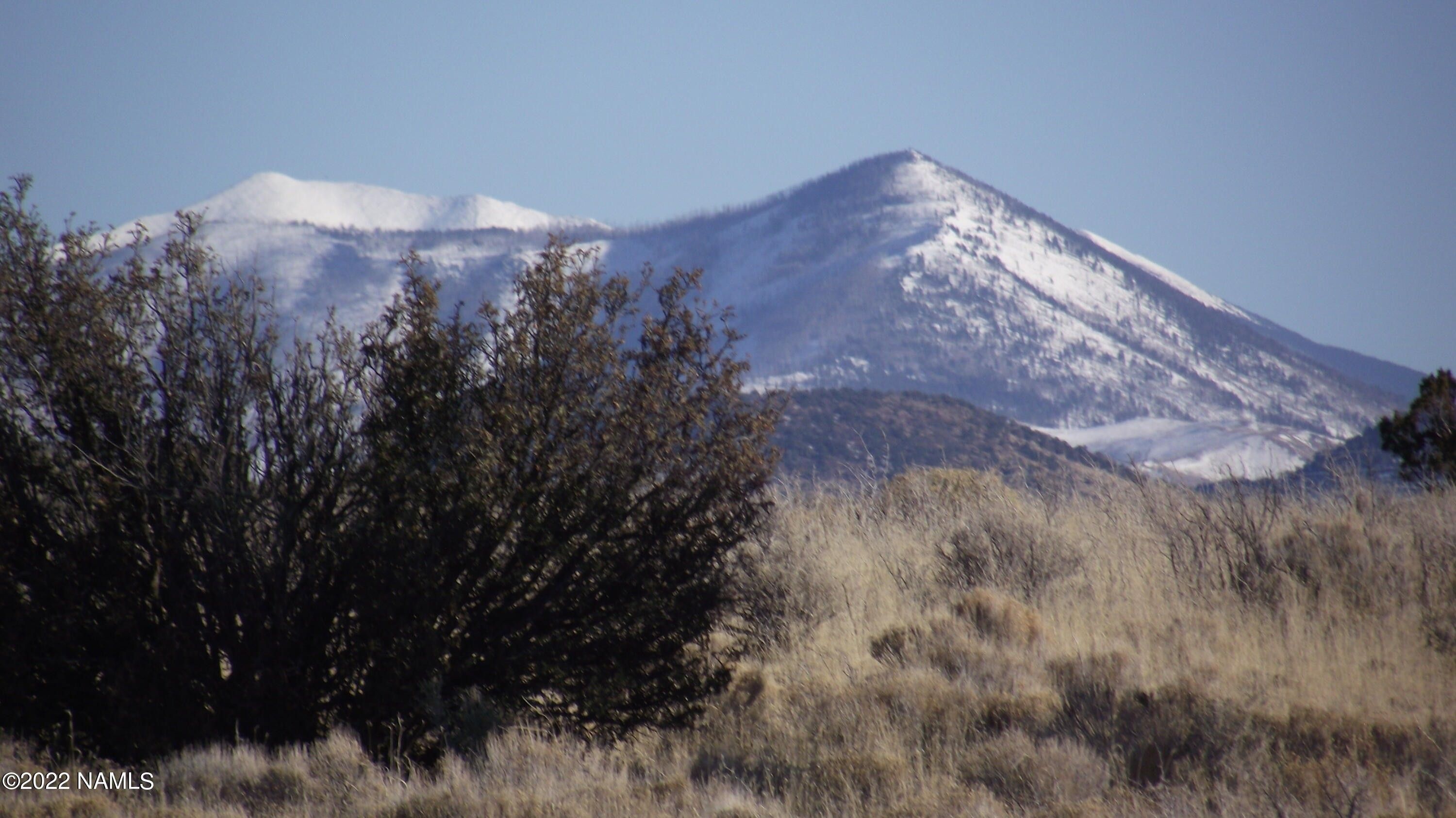 Williams, Coconino County, AZ Undeveloped Land for sale Property ID