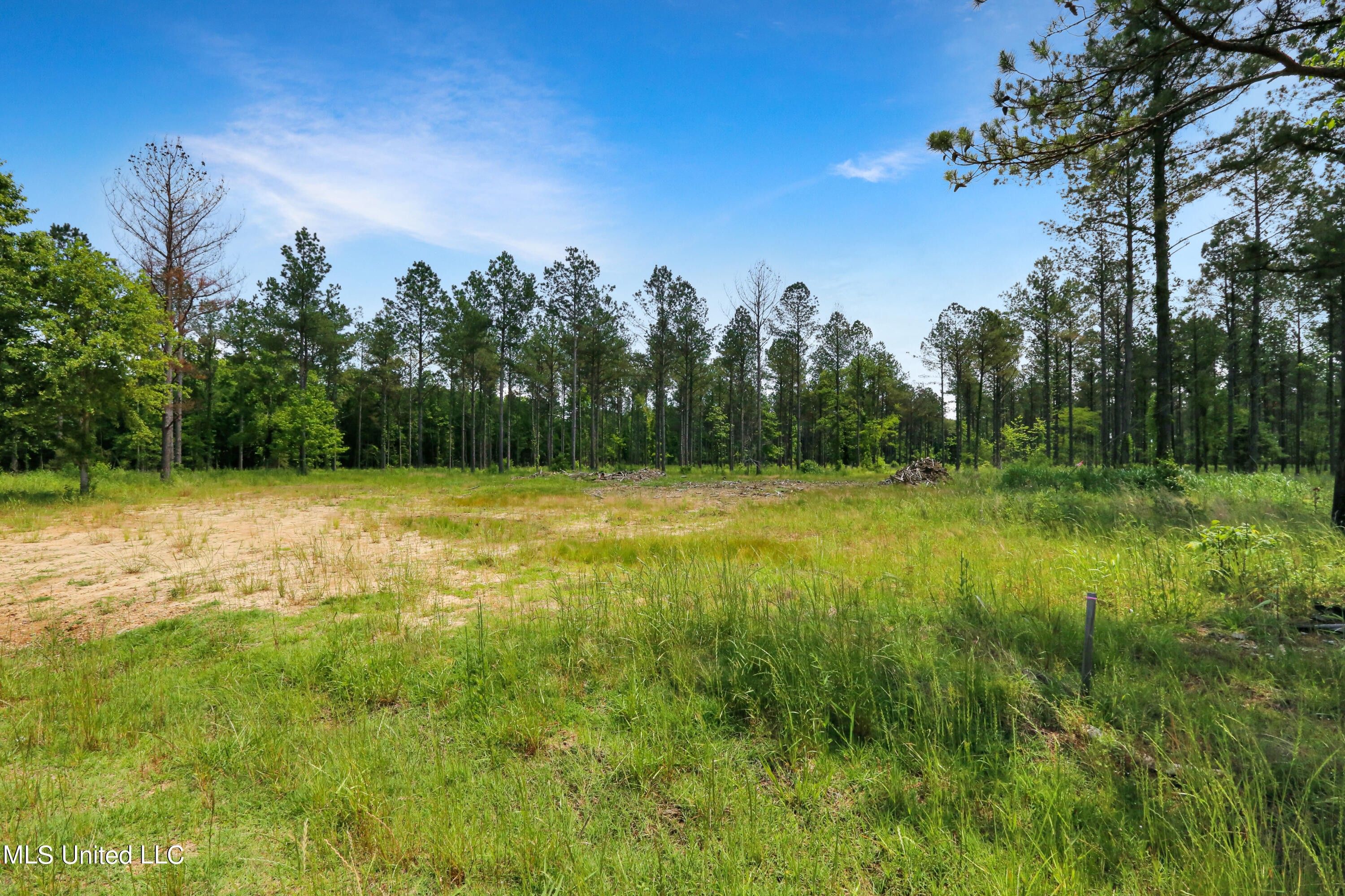 Flora, Madison County, MS Undeveloped Land for sale Property ID