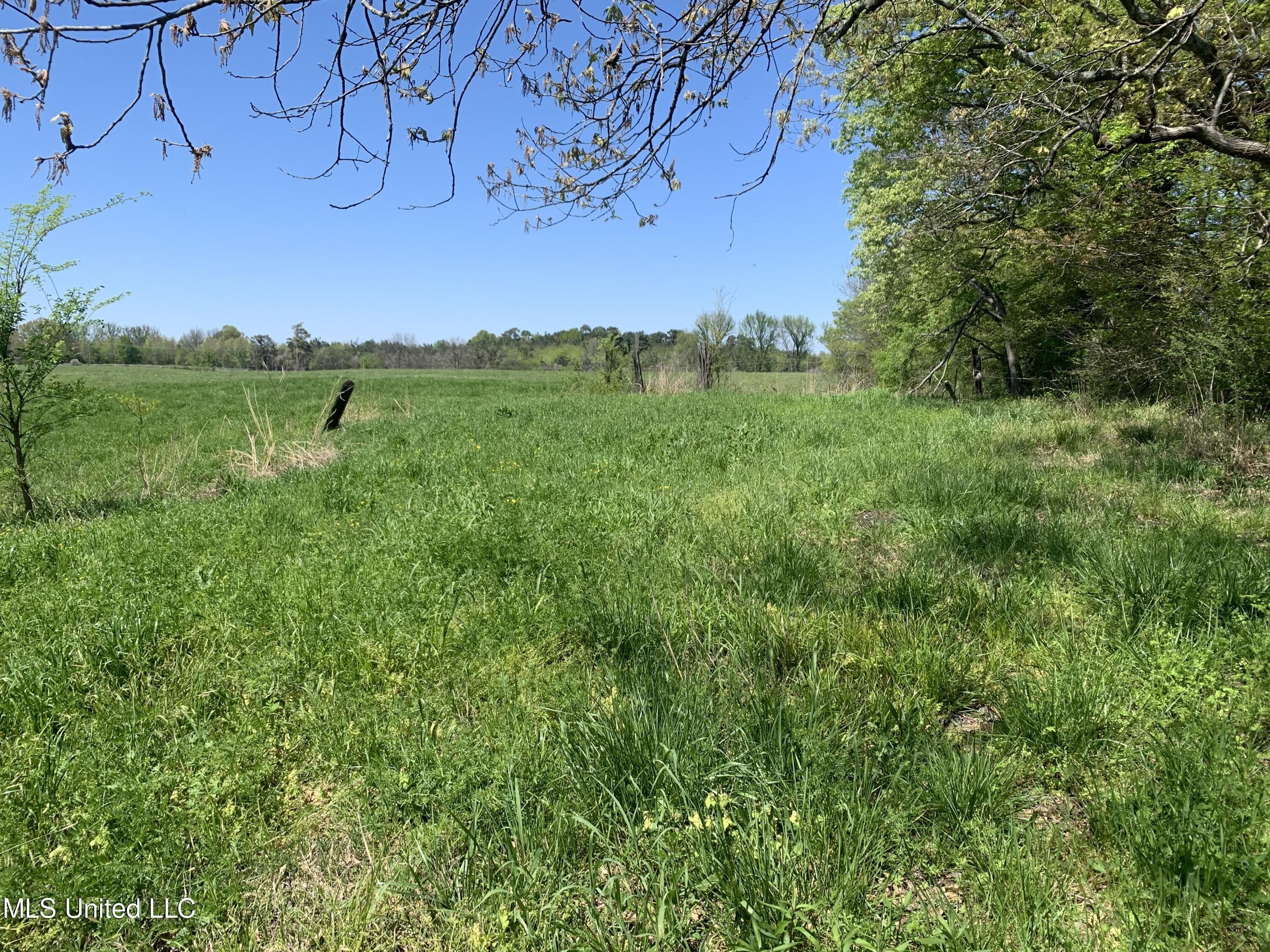 Hernando, DeSoto County, MS Undeveloped Land for sale Property ID