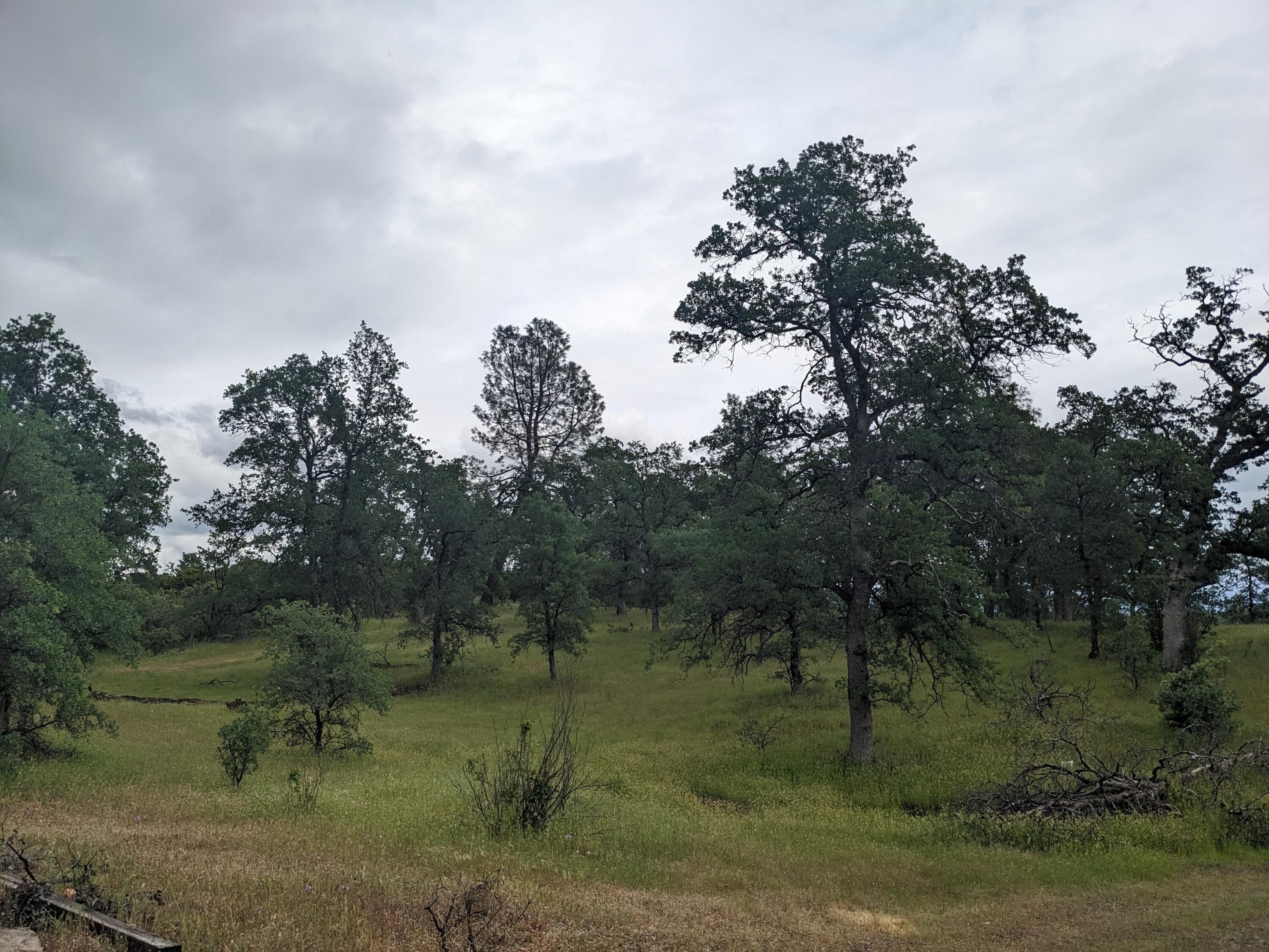 Redding, Shasta County, CA Undeveloped Land, Lakefront Property