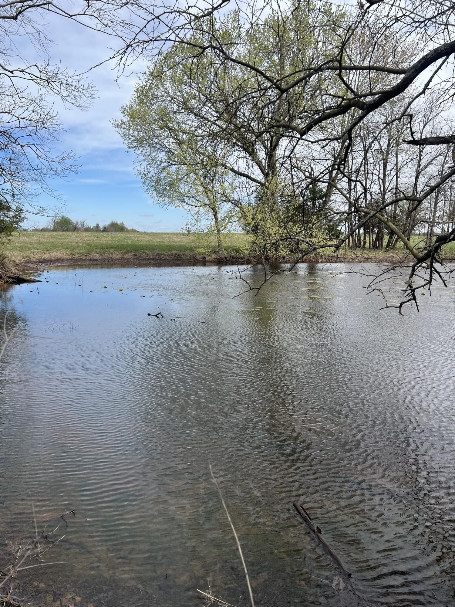 Jerico Springs, Dade County, MO Undeveloped Land for sale Property ID