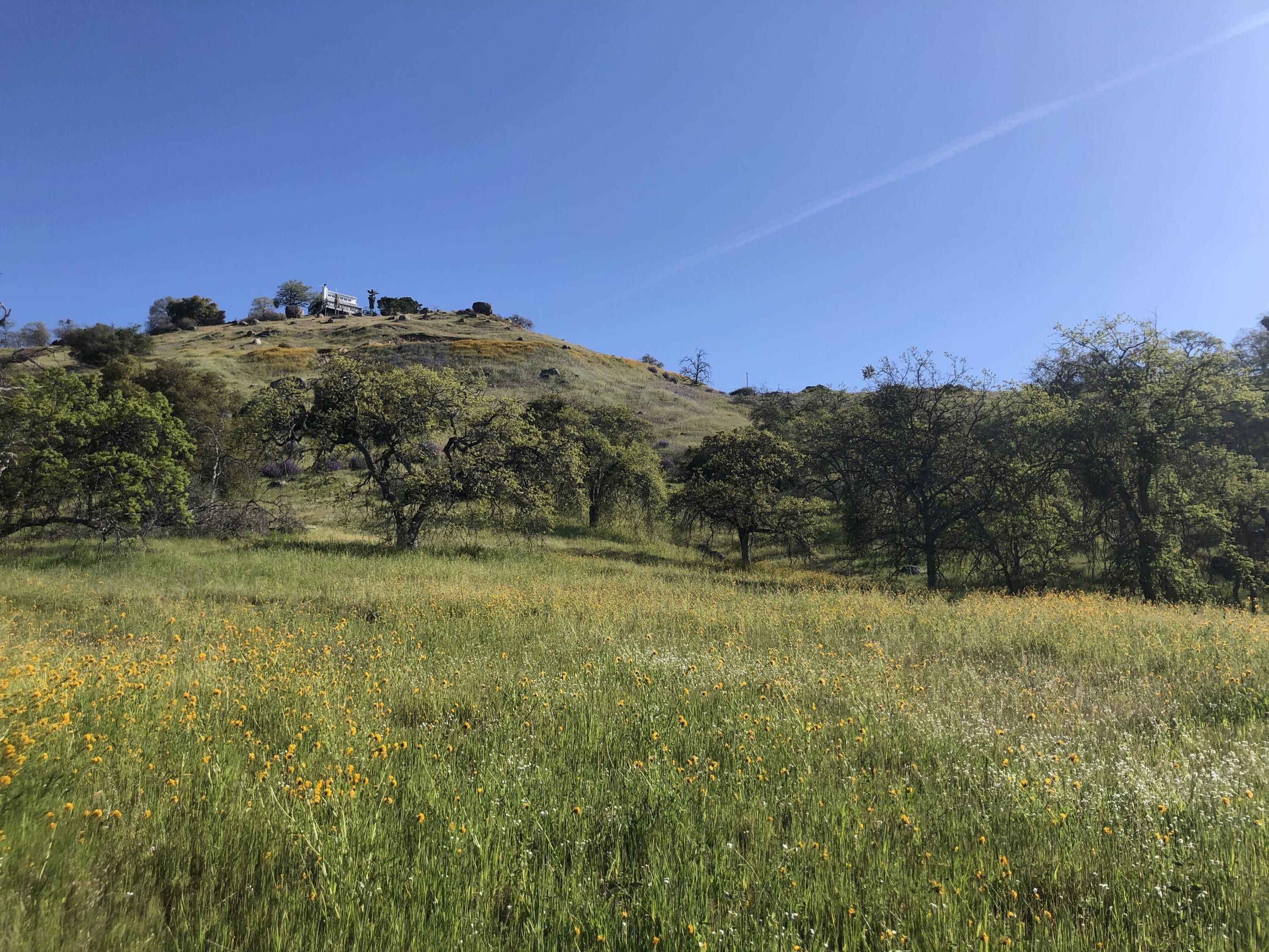 Squaw Valley, Fresno County, CA Undeveloped Land, Homesites for sale