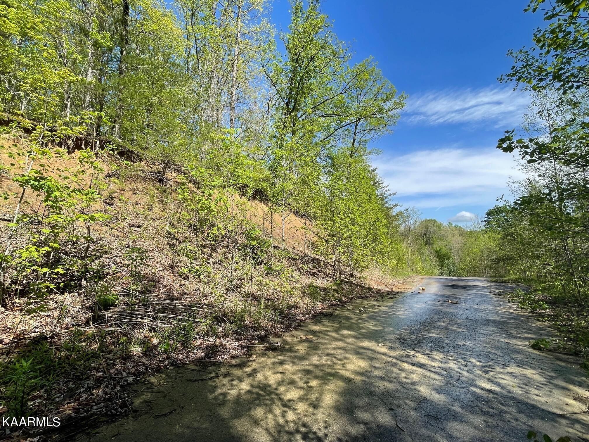 Wilder, Fentress County, TN for sale Property ID 416850550 LandWatch