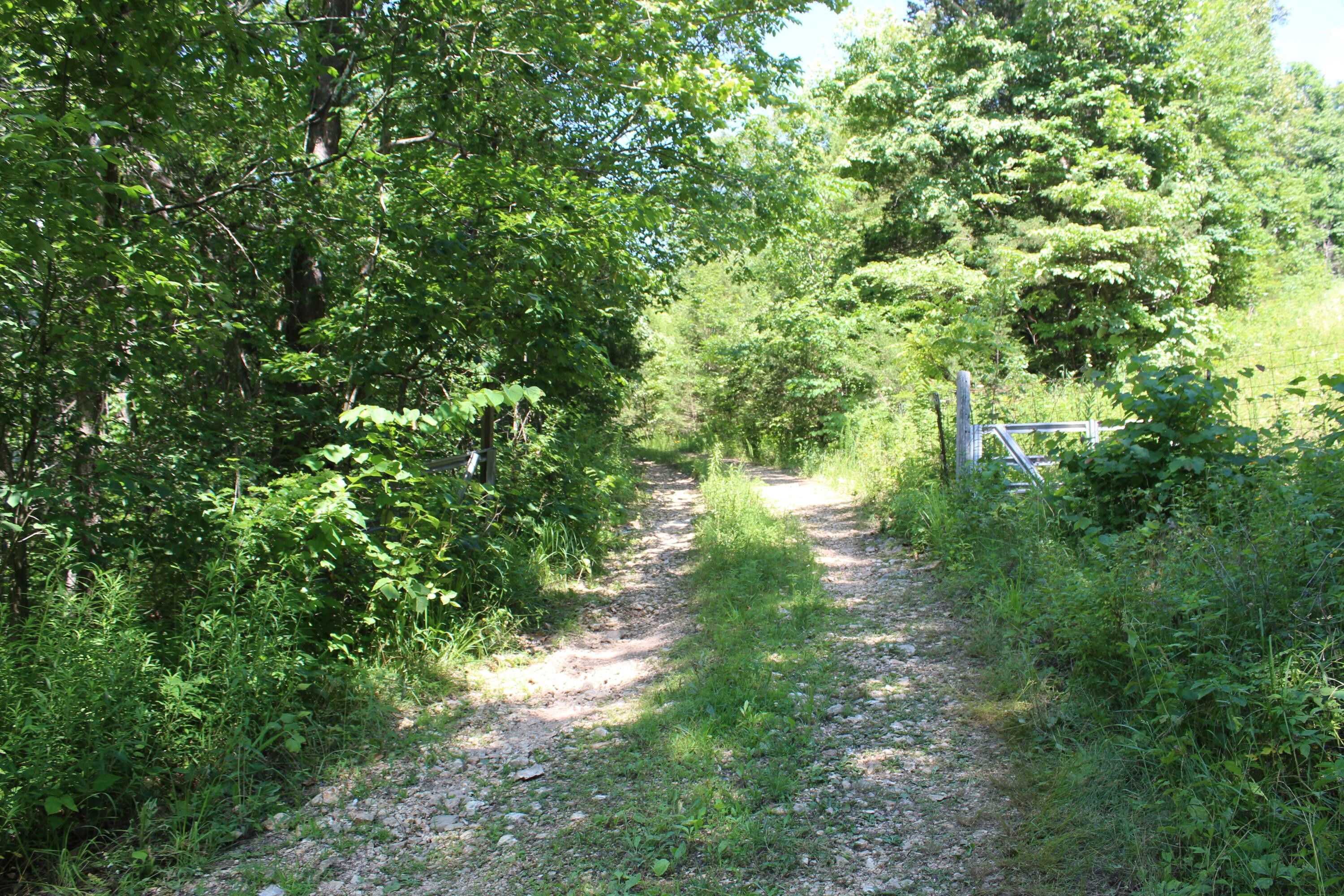 Seymour, Douglas County, MO Undeveloped Land for sale Property ID