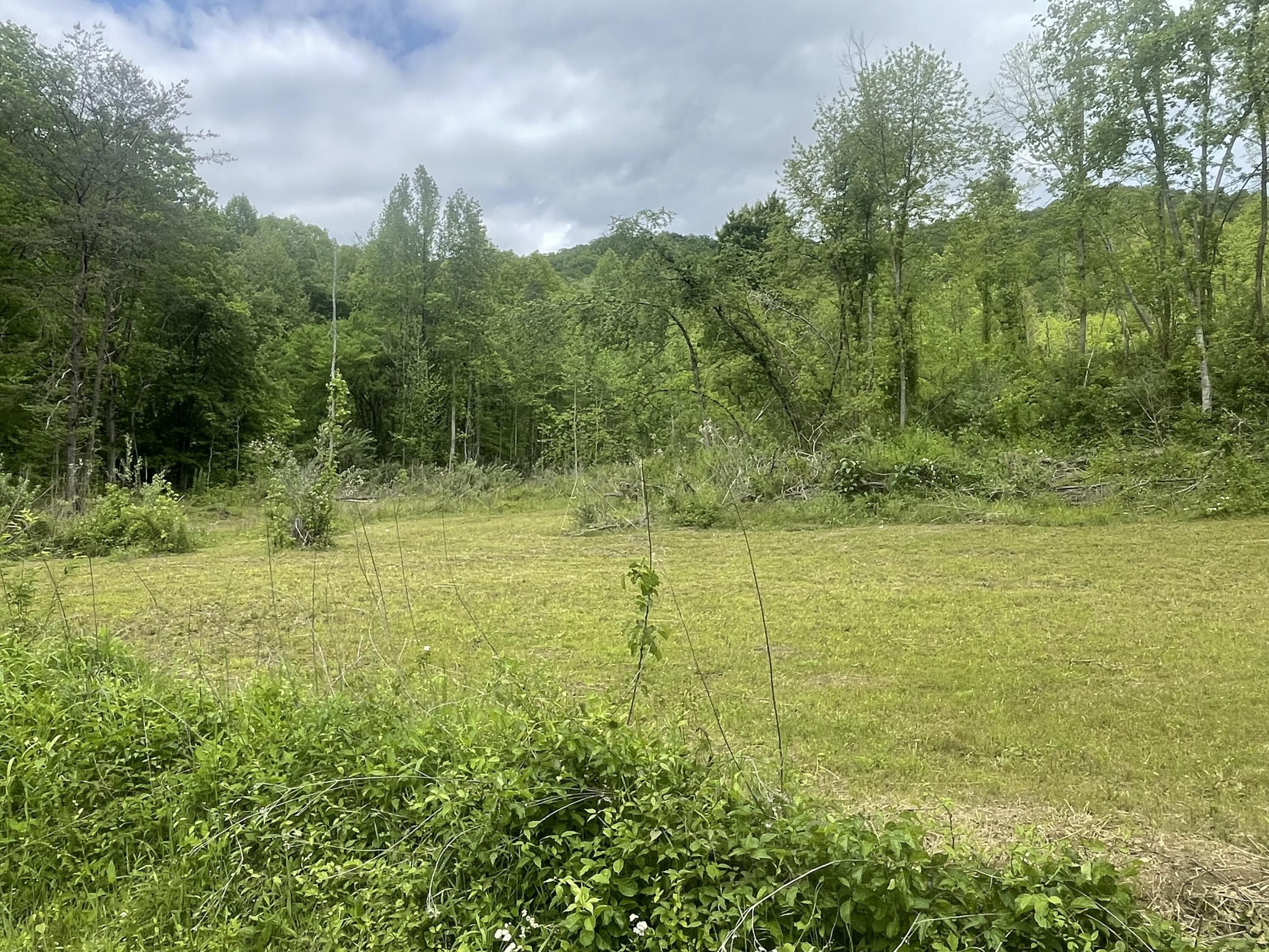 Flat Lick, Knox County, KY Farms and Ranches for sale Property ID