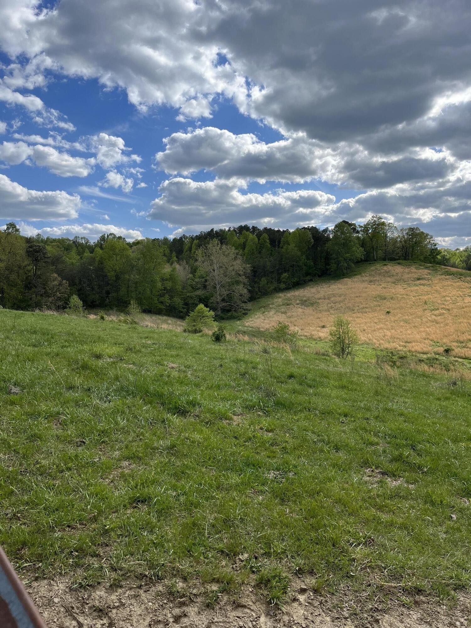 East Bernstadt, Laurel County, KY Farms and Ranches for sale Property